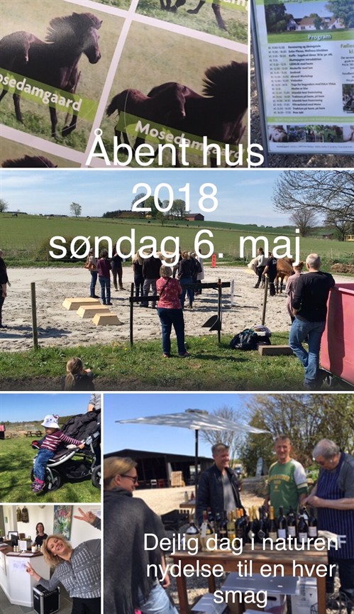 Abent Hus 2018